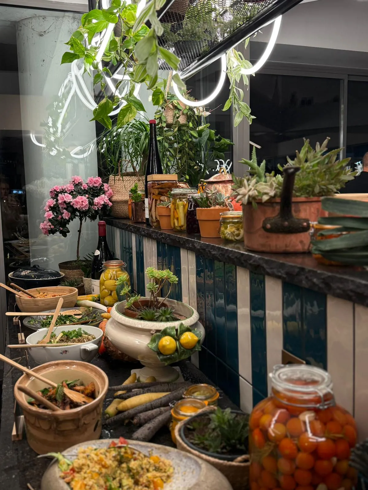 Comptoir de Boulom : bocaux, plantes et agrumes